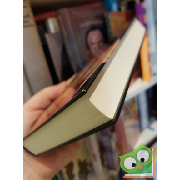 Rüdiger Dahlke A lélek nyelve: a betegség - A kórképek értelmezése és a betegség adta esély