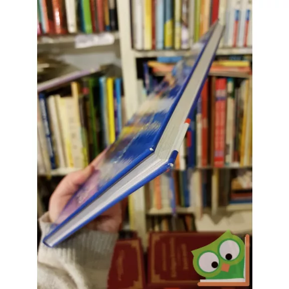 Döbrentey Ildikó: Égbőlpottyant esti mesék (Ritka)