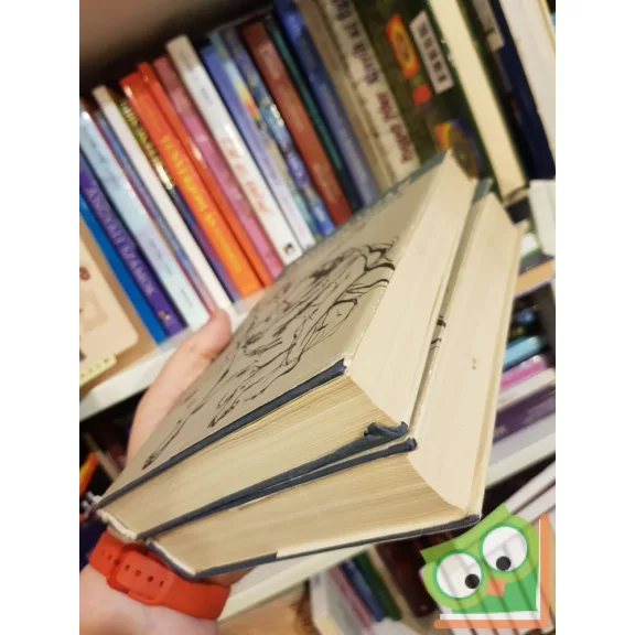 Fjodor Mihajlovics Dosztojevszkij: A Karamazov testvérek I-II.