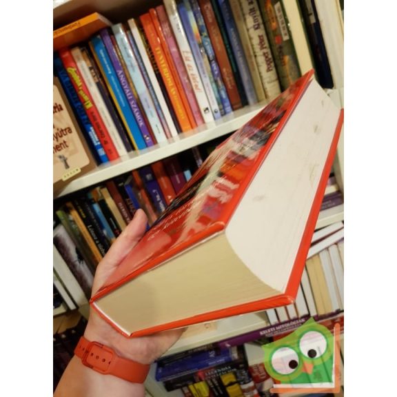 Edward Rutherfurd: Dublin - Az alapítás (Dublin Saga 1.)