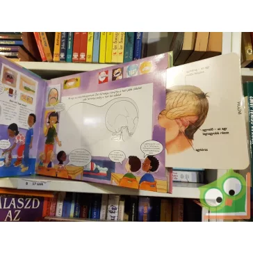 Bűvös csontváz könyvek - Az emberi test