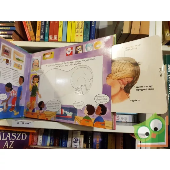 Bűvös csontváz könyvek - Az emberi test