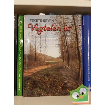 Fekete István: Végtelen út