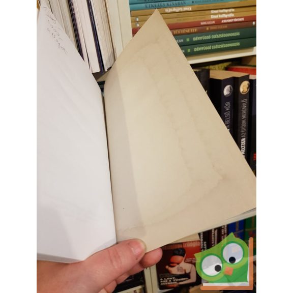 Fekete István: Hajnal Badányban