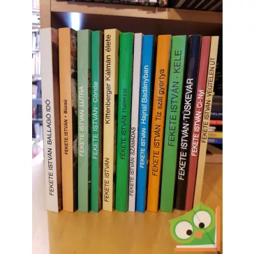 Fekete István: Halászat (ritka)