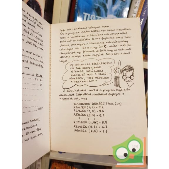 Roger Emanuel Kaufman: Fortran képeskönyv