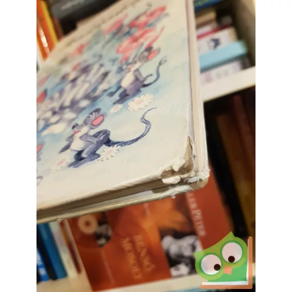 Füzesi Zsuzsa mondókáskönyve 1.