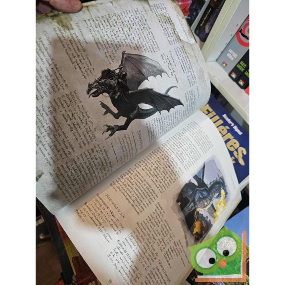 Scott Bennie - Mike Mearls: Gonosz fajzatok és csodás mágia (A Gyűrűk Ura Szerepjáték kiegészítő) (újszerű)(ritka)