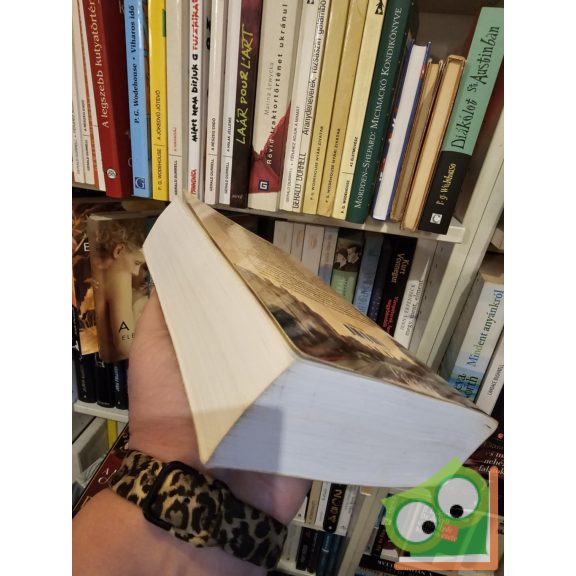 Philippa Gregory: A másik Boleyn lány (A Tudorok 3.) (Plantagenet és Tudor regények 9.)