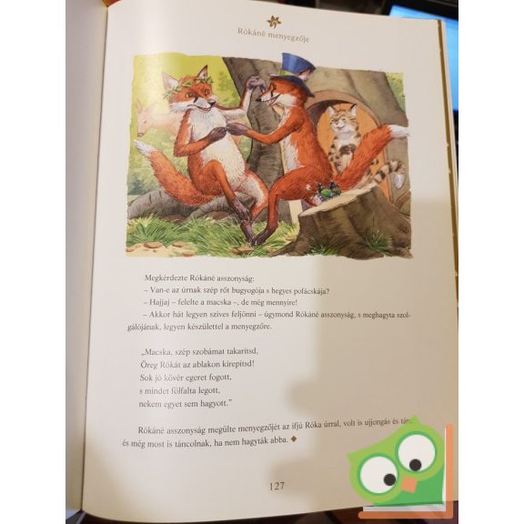 Reader Digest's: A Grimm fivérek legszebb meséi