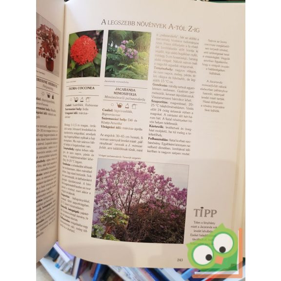 Halina Heitz: A zöld otthon - 1000 legszebb szobanövény