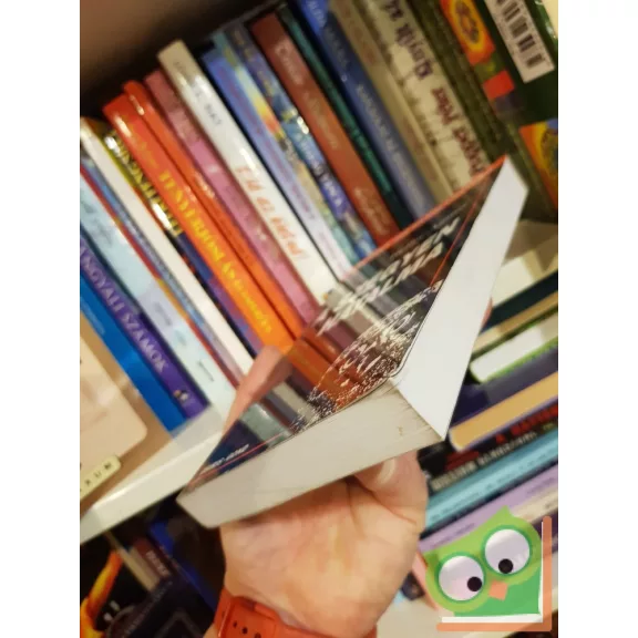 Heller Ágnes: A szégyen hatalma (Ritka)