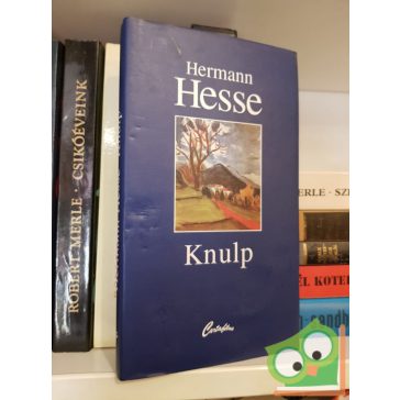 Hermann Hesse: Knulp