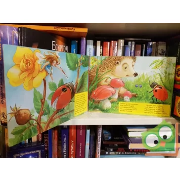 Hétpecsétes katica (Leparelló)