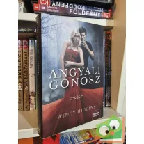 Wendy Higgins: Angyali gonosz (Sweet Evil 1.) (ritka)