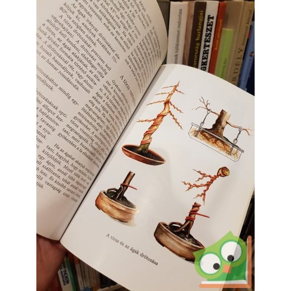 Horst Stahl: Hobbim a bonsai