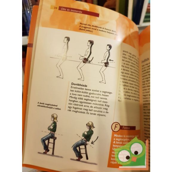 Kurt Hoffmann: Lovasiskola kezdőknek