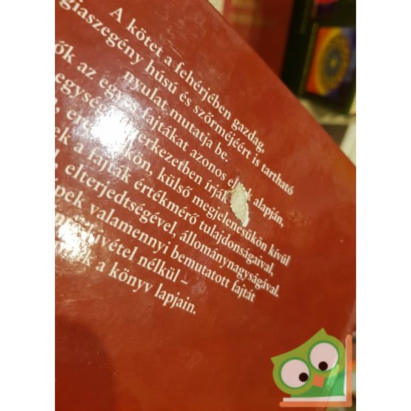 Holdas Sándor, Szendrő Zsolt: Nyúl (Gazdasági állataink – Fajtatan) (Ritka)