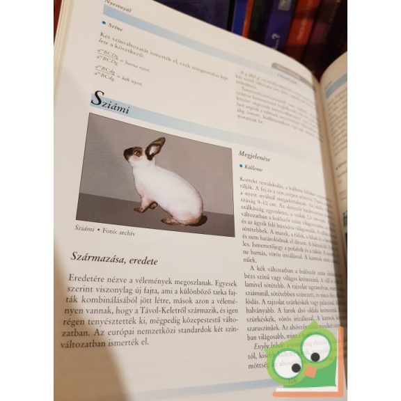 Holdas Sándor, Szendrő Zsolt: Nyúl (Gazdasági állataink – Fajtatan) (Ritka)