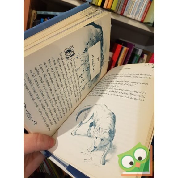 Tea Stilton: A jéghercegnő (A Fantázia Birodalmának hercegnői 1.)