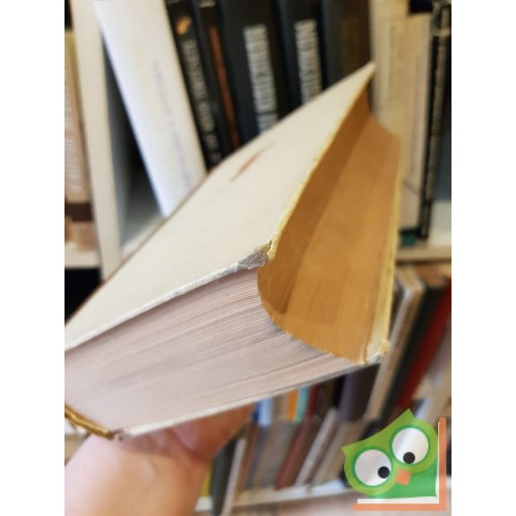 Jesch László: Gyakorlati elektro technika