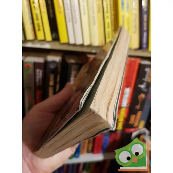 Rob McGregor: Indiana Jones és az utolsó kereszteslovag