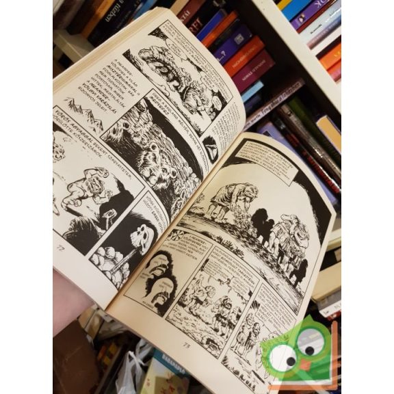 Larry Gonnick: Képregényes világtörténelem 1. A nagy bummtól Nagy Sándorig