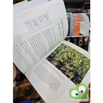 Andrea Rausch - Brigitte Lotz: Kis zöldfűszerlexikon