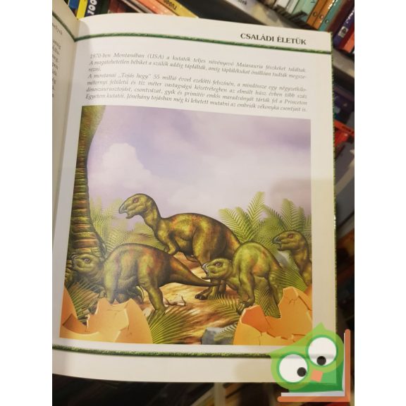 Kordos László, Sipos Norbert: Sárkánygyikok