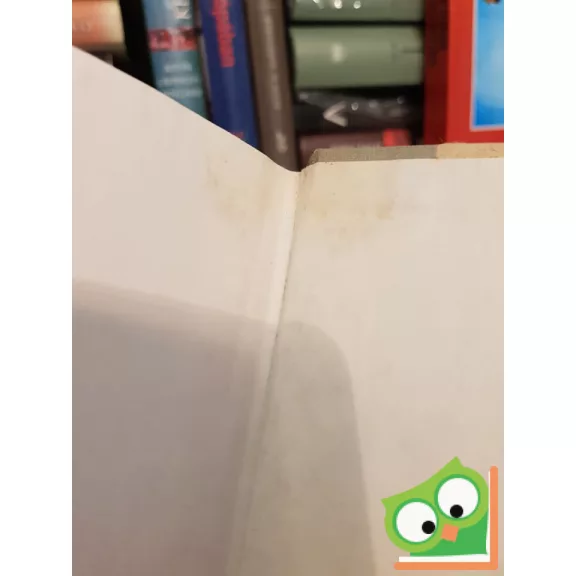 Lawrence L. Lager: Admitting the Holocaust - Collected Essays