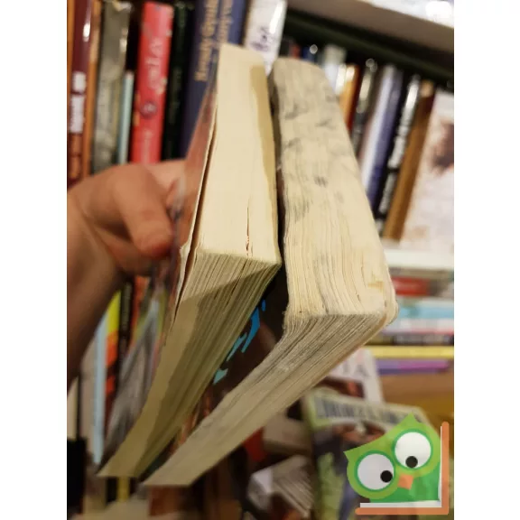 Leslie L. Lawrence:A jégbe fagyott sárkány kolostora I-II. (Leslie L. Lawrence 40.) (A Fekete Hercegnő 4.)