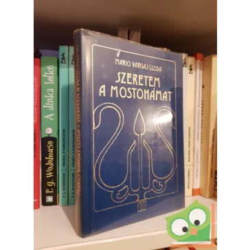 Mario Vargas LLosa: Szeretem a mostohámat