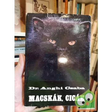 Anghi Csaba: Macskák, cicák