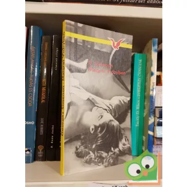 Georges Simenon: Maigret Vichyben