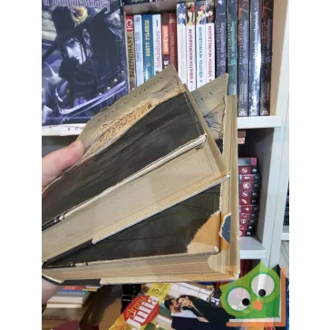 Thomas Mann: Varázshegy I-II