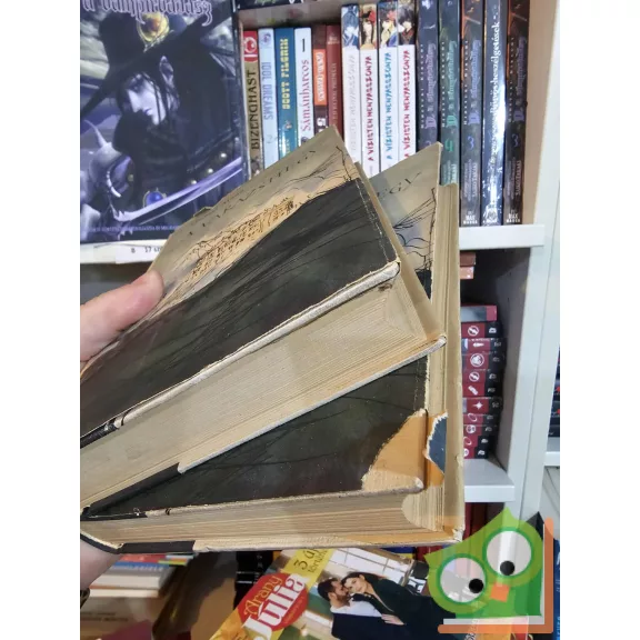 Thomas Mann: Varázshegy I-II