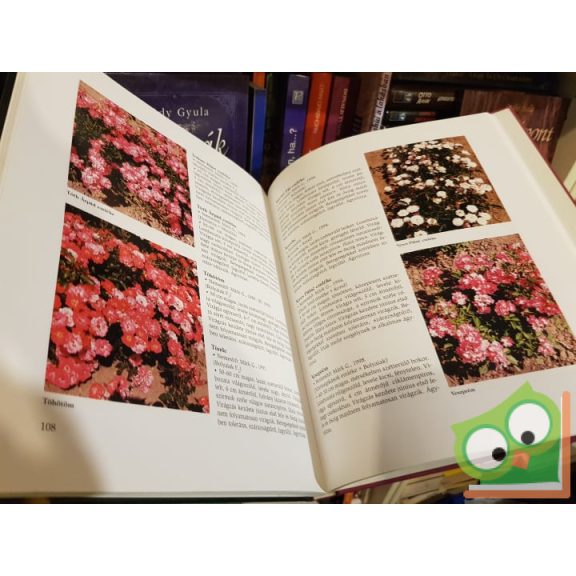 Márk Gergely: Magyar rózsák könyve (Ritka)