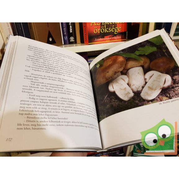 Mester Júlia: Ezeregy gombázás meséi