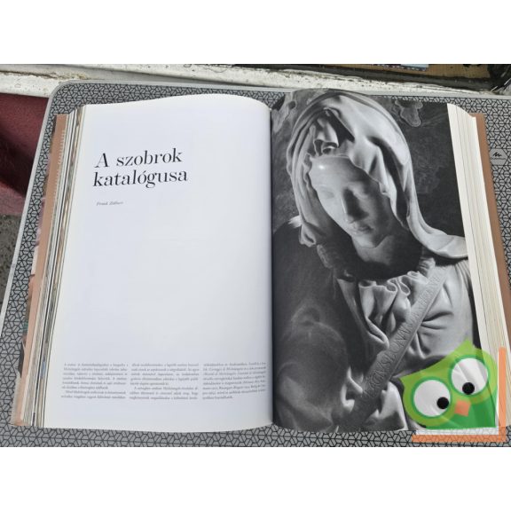 Frank Zöllner, Christof Thoenes, Thomas Pöpper: Michelangelo (A teljes életmű)