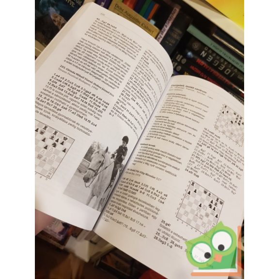 Mihók László: Dinamika a sakkban - Edzők és játékosok kézikönyve (Nagyon ritka)