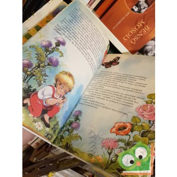   Molnár Andrea: Mesék ​a természetről (Füzesi Zsuzsa rajzaival)