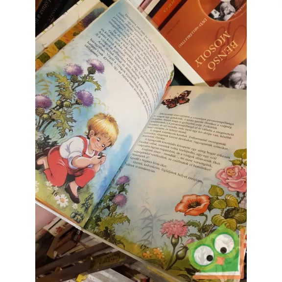 Molnár Andrea: Mesék ​a természetről (Füzesi Zsuzsa rajzaival)