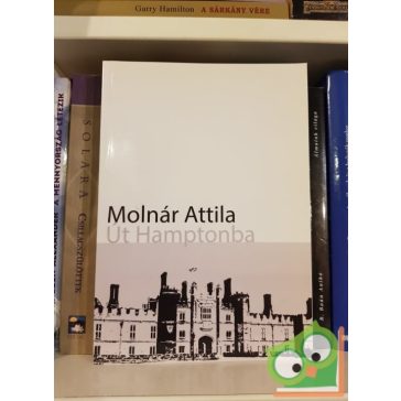 Molnár Attila: Út Hamptonba