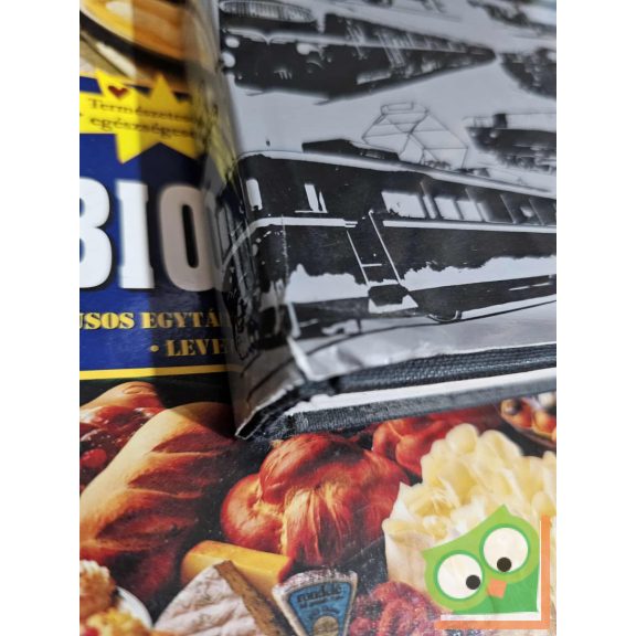 Lányi - Mohay - Szontágh - Lovász - Villányi: Nagyvasúti vontatójárművek Magyarországon (ritka)