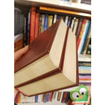   Pauler Gyula: A magyar nemzet története az Árpádházi királyok alatt I-II (Reprint)