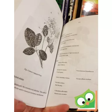 Prof. Dr. Gizella Petri: Phytotherapy in the Medicine