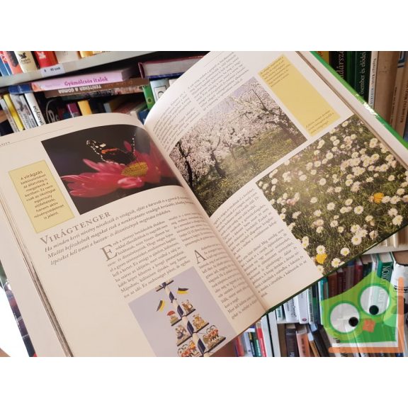 A praktikus kerti naptár - jó ötletek egész évre