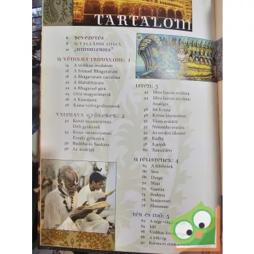 Steven J. Rosen: India rejtett kincse