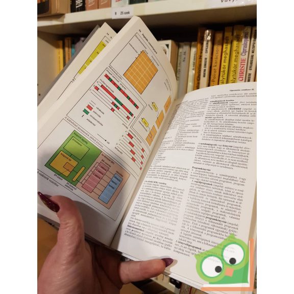 Hans Breuer: Informatika   (SH atlasz)