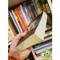 Sidney Sheldon: Ashley három élete